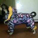 �������) �� ������� ���� �������)�