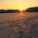 ���� ����, ������, 45 ��� - ��������� 8 ����� 2011