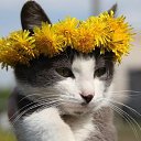 ���� ����� �., �����������, 42 ���� - ��������� 1 ������� 2010 � ������ ����������� ))�