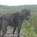 ���� &deg;&bull;*������&deg;&bull;*, ����������, 23 ���� - ��������� 12 ��� 2010 � ������ ������ �� �����...�