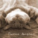 ���� Walentina, �������, 35 ��� - ��������� 13 ���� 2012 � ������ �������