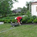  , , 50  -  1  2012   2012