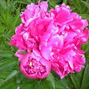 ���� �������, ���������, 69 ��� - ��������� 17 ������� 2011 � ������ ���� ��������