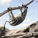 ���� ��������, �������������, 58 ��� - ��������� 11 ������� 2012 � ������ ���� ����������