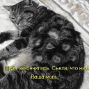 ���� �������, �����, 39 ��� - ��������� 2 ������ 2009 � ������ ��������� �����