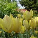 ���� ������, ������, 63 ���� - ��������� 5 ������� 2011 � ������ ������-���� �����....�