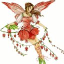 ���� ������, ����������, 34 ���� - ��������� 25 ������ 2011 � ������ ���� ����������