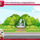 ���� ����, ������, 43 ���� - ��������� 24 �������� 2010 � ������ �PetLove�