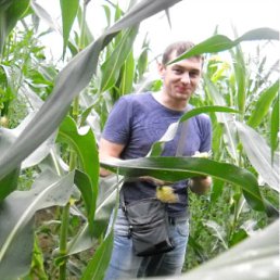 ���� ������, ������, 43 ���� - ��������� 13 ������ 2011