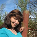 ���� ����, �������, 61 ��� - ��������� 8 ��� 2013 � ������ ���� ����������