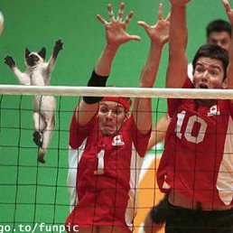 ���� ����, �����������, 30 ��� - ��������� 29 ���� 2010