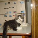 ���� ����, �������� ������ - ��������� 8 �������� 2010 � ������ ���� �����