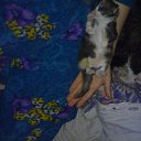 ���� ����, ������� - ��������� 17 ������� 2010 � ������ ��������