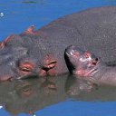 ���� �������, �������, 44 ���� - ��������� 19 ����� 2010 � ������ ������...�