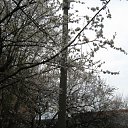 ���� ���� ����, ����������, 50 ��� - ��������� 19 ����� 2010 � ������ ��������� ������!�