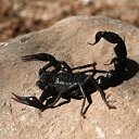 ���� Serega, �����-���������, 34 ���� - ��������� 12 ������ 2010 � ������ ��������