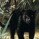 ���� ������, ������, 47 ��� - ��������� 7 ������ 2012 � ������ ���� ����������