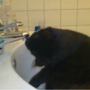 ���� �������, ���������, 49 ��� - ��������� 24 ������ 2011 � ������ �Magnificent�