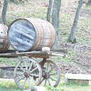  , , 60  -  29  2009    Ż