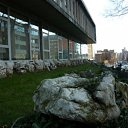 ���� Lana, �����-���������, 47 ��� - ��������� 23 ������ 2010 � ������ ����