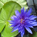 ���� ����� - ���������� ��������!!!, �����������, 56 ��� - ��������� 10 ������ 2010 � ������ ������� �����