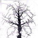 ���� ���, ������ - ��������� 30 ������� 2009 � ������ ��������