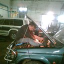 ���� ����, ��������, 41 ��� - ��������� 11 ������ 2012