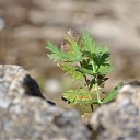 ���� ������, ��������� - ��������� 20 ���� 2010 � ������ ����, ����!!!�