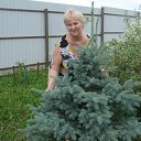 ���� �����, ������� - ��������� 6 ������� 2012 � ������ �������� 2012.08�