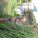 ���� ��������, ������, 68 ��� - ��������� 17 ������ 2012 � ������ ���� ����������