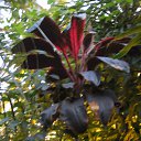 ���� ������, ��������, 66 ��� - ��������� 5 ������ 2013 � ������ ���� ����������