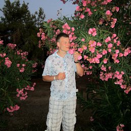 ���� ����, ������, 35 ��� - ��������� 7 ������ 2012