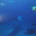 ���� �����, ������, 55 ��� - ��������� 31 ������� 2012 � ������ �������