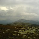 ���� ������, ��������� - ��������� 2 ��� 2010 � ������ ��������