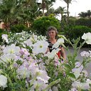 ���� �����, �������, 56 ��� - ��������� 12 ��� 2011 � ������ ���� ����������