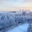 ������ ����� �� ������� ������������ �� �������