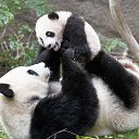 ���� �������, �������, 44 ���� - ��������� 19 ����� 2010 � ������ ������...�