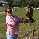 � � ��������. �� ������� ���� ����������