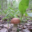 ���� �����, ������, 39 ��� - ��������� 11 �������� 2009 � ������ �� ���������� ��������...�