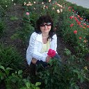 ���� �������, ������-��-����, 57 ��� - ��������� 6 ���� 2013