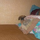 ���� ����*****, ������, 30 ��� - ��������� 25 ����� 2010 � ������ �������