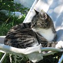 �����. �� �� �����, ������.,��������. �� ������� �����������ۻ