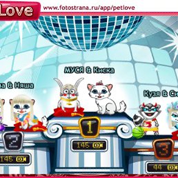 ���� ����, ��������, 24 ���� - ��������� 14 ������ 2010