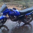 ���� ����, ������ ��������, 52 ���� - ��������� 26 ����� 2013 � ������ ���� ����������