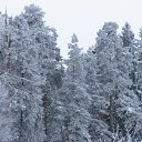 ���� Stas, ������� - ��������� 31 ��� 2011 � ������ ��������.�