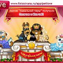  , , 34  -  11  2010   PetLove