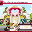  , , 40  -  25  2010   PetLove