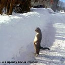 ���� �������, ����������� - ��������� 12 ����� 2013 � ������ ��������� ��������