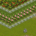  ,  -  15  2012   Tropikania