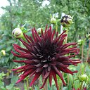  , , 72  -  11  2013     λ